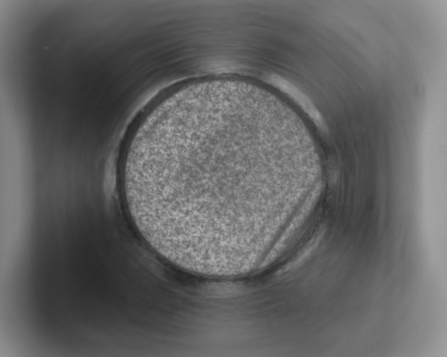 X0000101651023200808071110