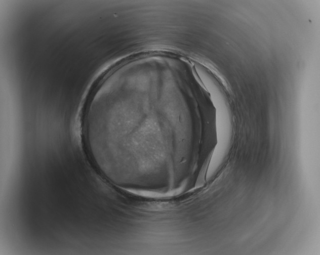 X0000101651024200808071110