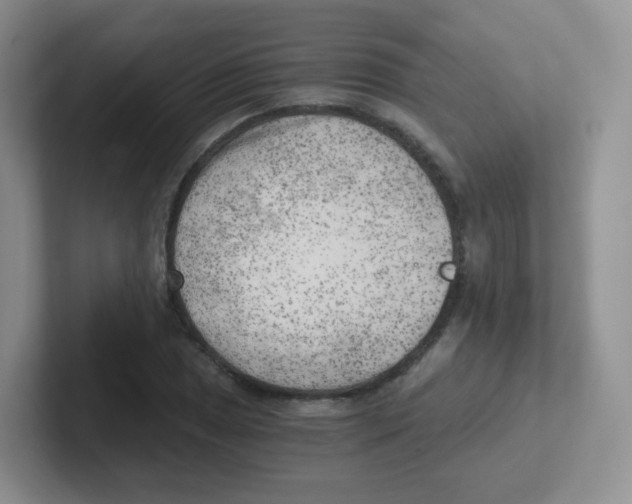 X0000101651025200808071110