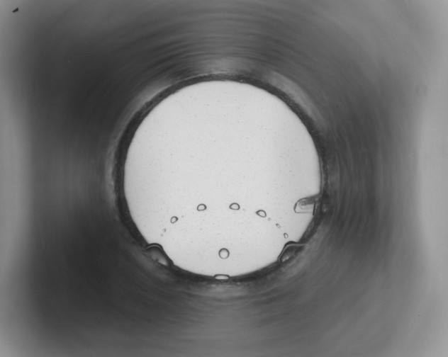 X0000101651026200808071110