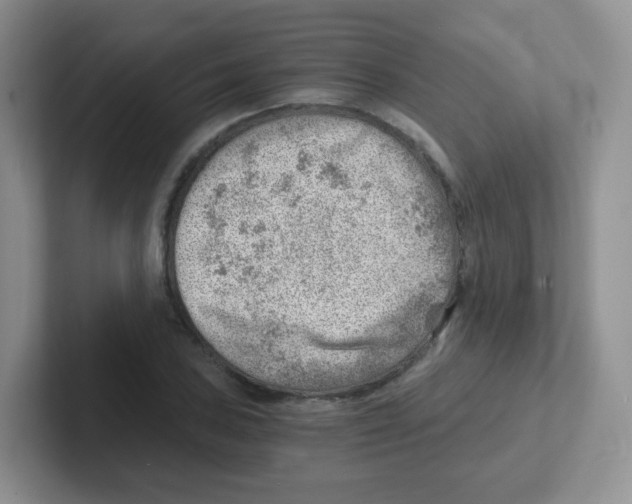 X0000101651027200808071110