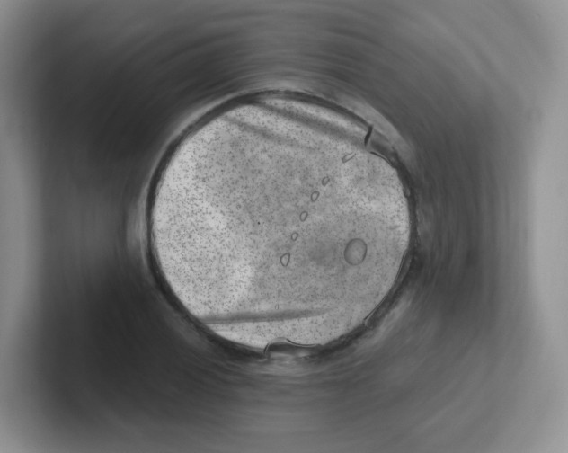 X0000101651028200808071110
