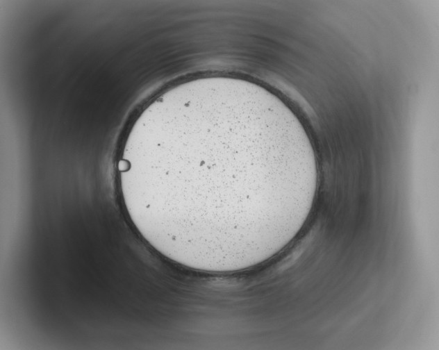 X0000101651029200808071110