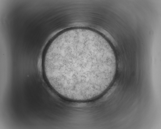 X0000101651030200808071110