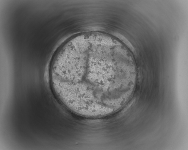 X0000101651031200808071110