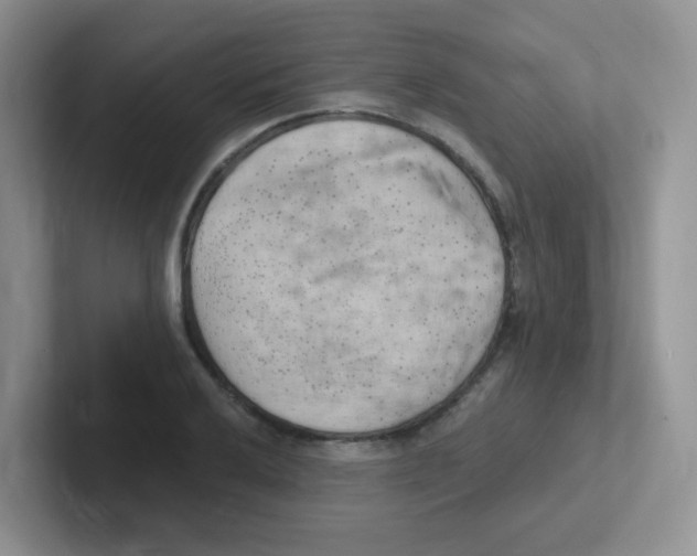 X0000101651032200808071110