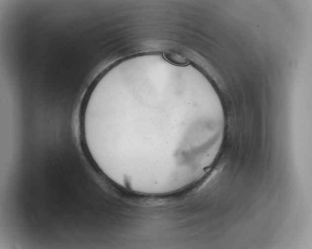 X0000101651034200808071110