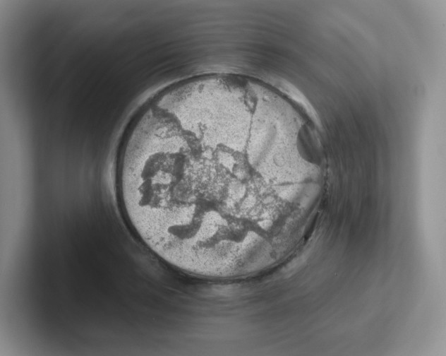 X0000101651035200808071110