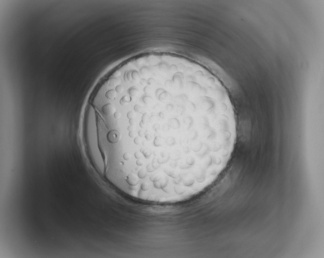X0000101651036200808071110