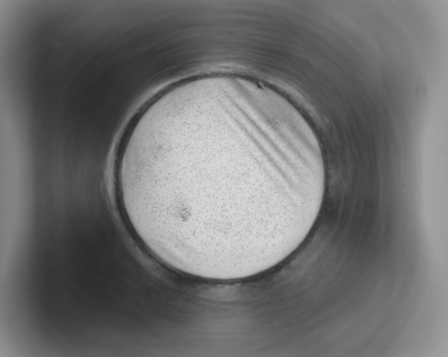 X0000101651038200808071110