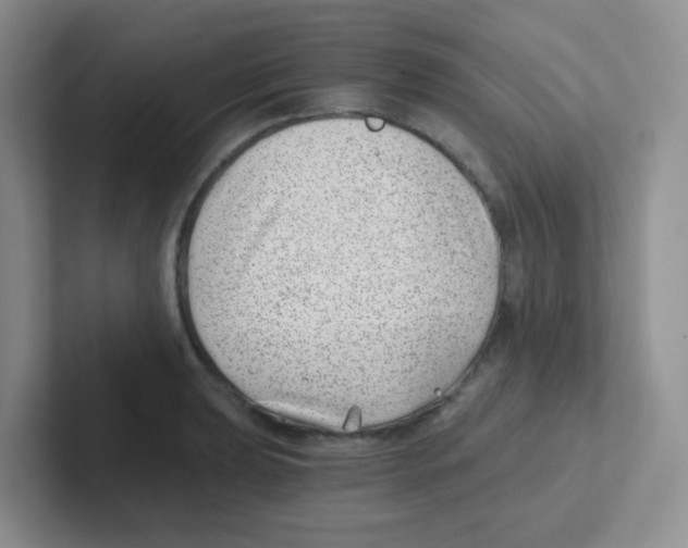 X0000101651039200808071110