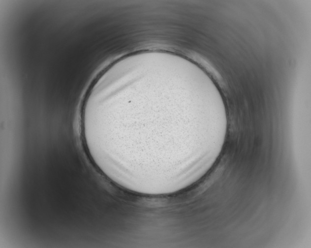 X0000101651040200808071110