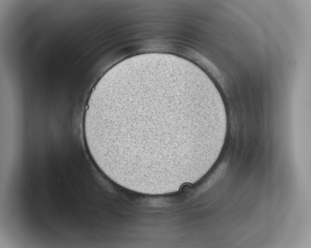 X0000101651041200808071110