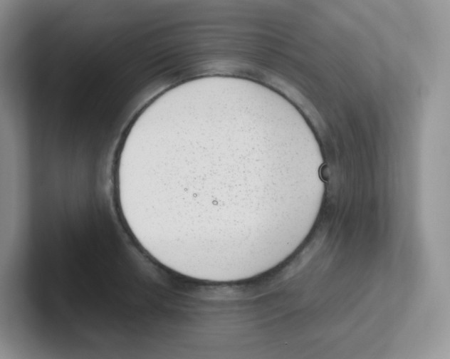 X0000101651042200808071110