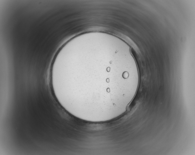 X0000101651044200808071110