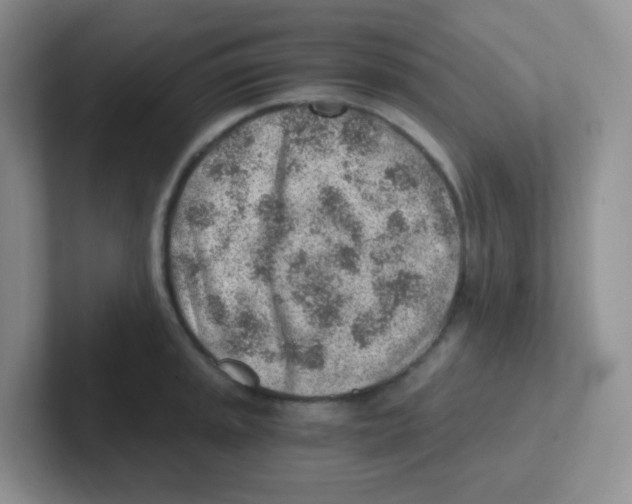 X0000101651045200808071110