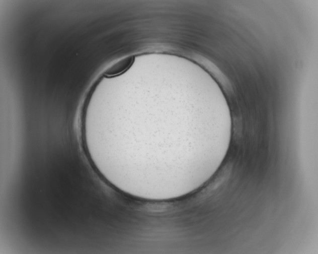 X0000101651046200808071110