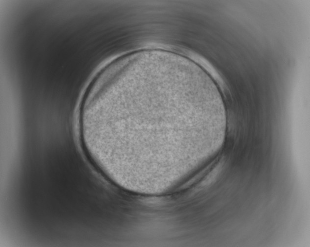 X0000101651048200808071110