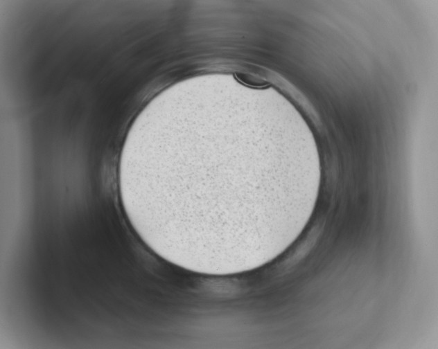 X0000101651049200808071110