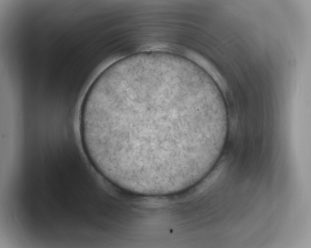 X0000101651050200808071110