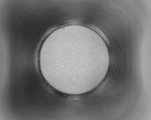 X0000101651051200808071110