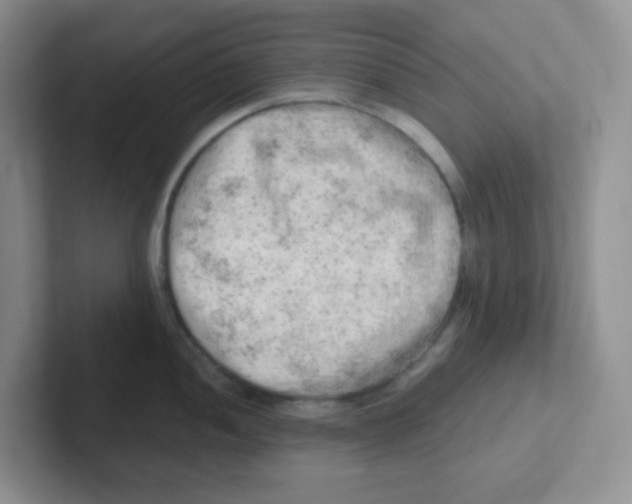 X0000101651052200808071110