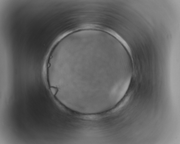 X0000101651053200808071110