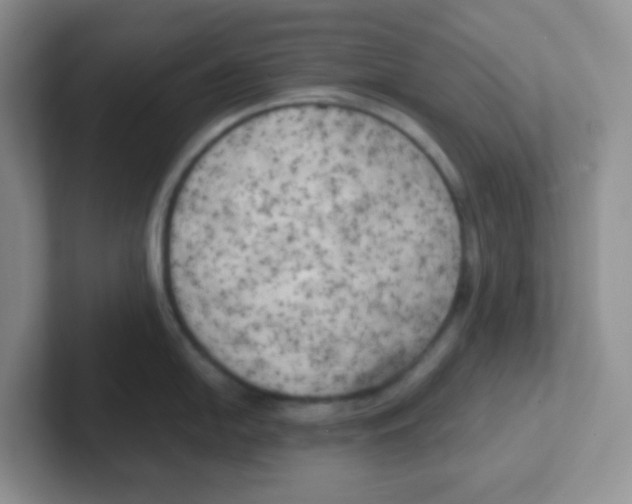 X0000101651054200808071110