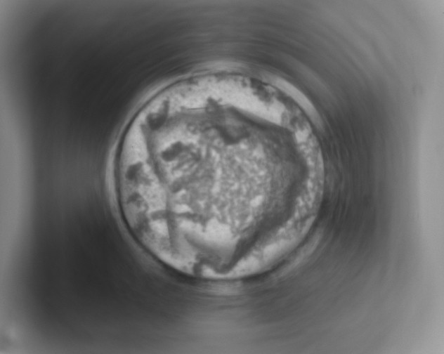 X0000101651055200808071110