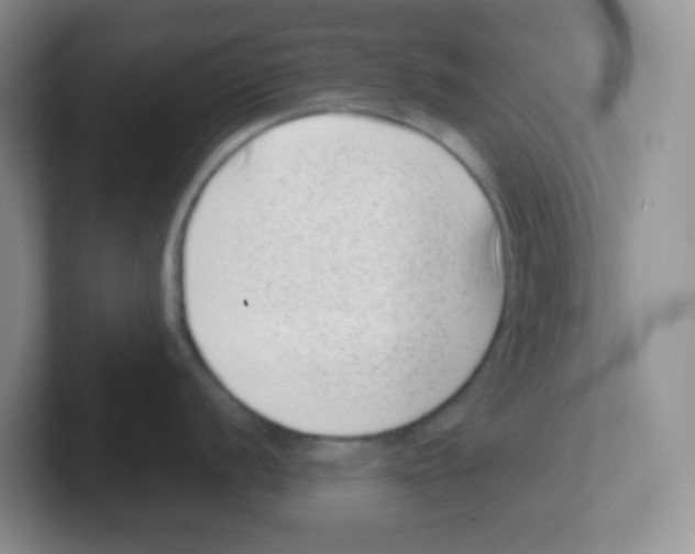 X0000101651056200808071110