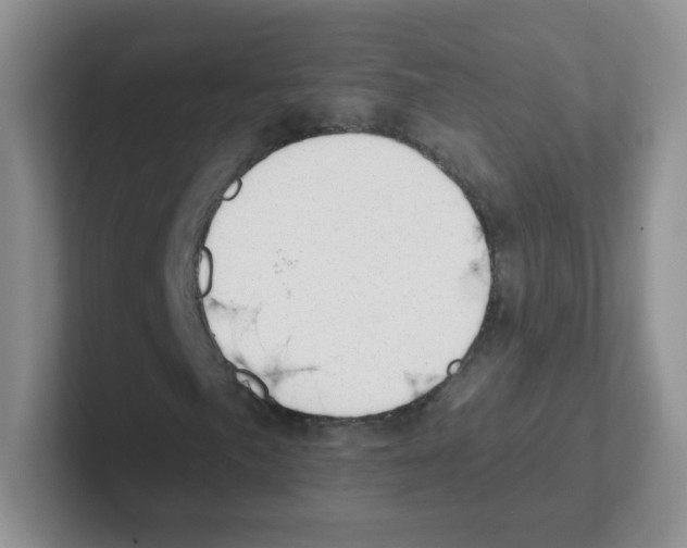 X0000101651057200808071110