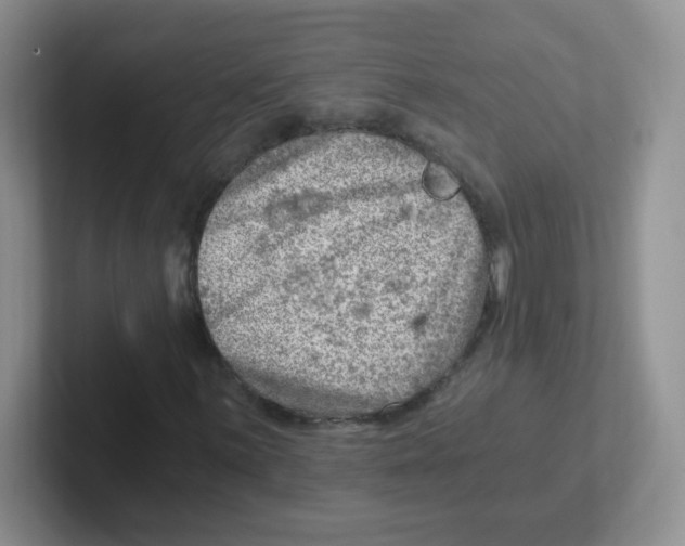 X0000101651059200808071110