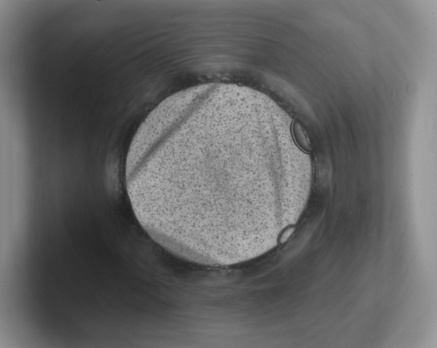 X0000101651060200808071110