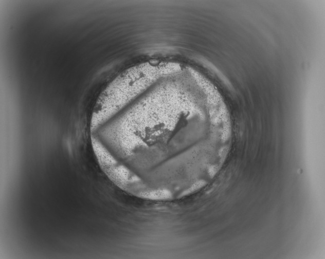 X0000101651063200808071110