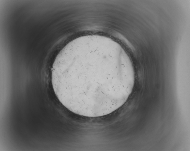 X0000101651064200808071110