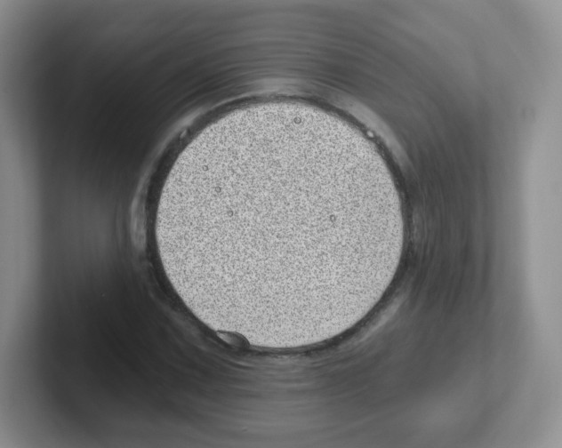X0000101651067200808071110