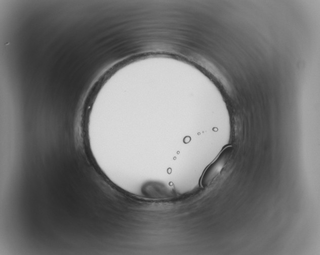X0000101651068200808071110