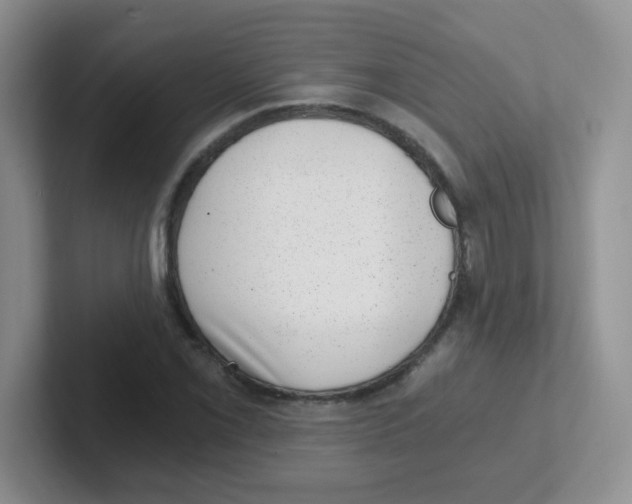 X0000101651069200808071110