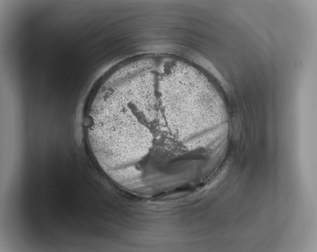 X0000101651071200808071110