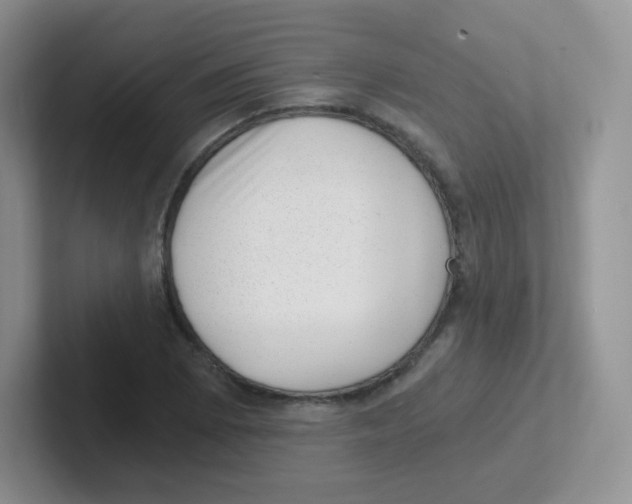 X0000101651073200808071110