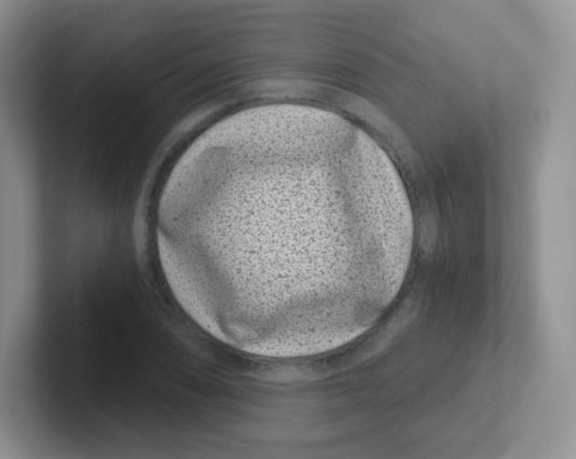 X0000101651074200808071110