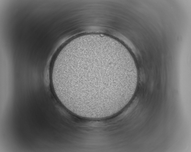 X0000101651075200808071110