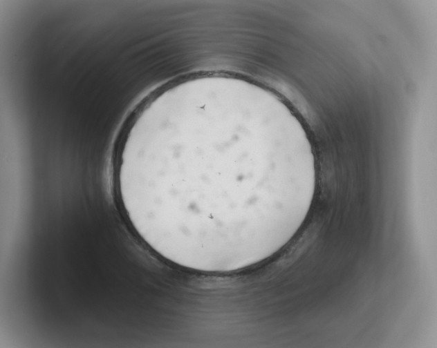 X0000101651076200808071110