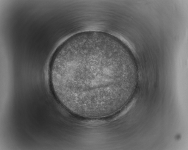 X0000101651077200808071110