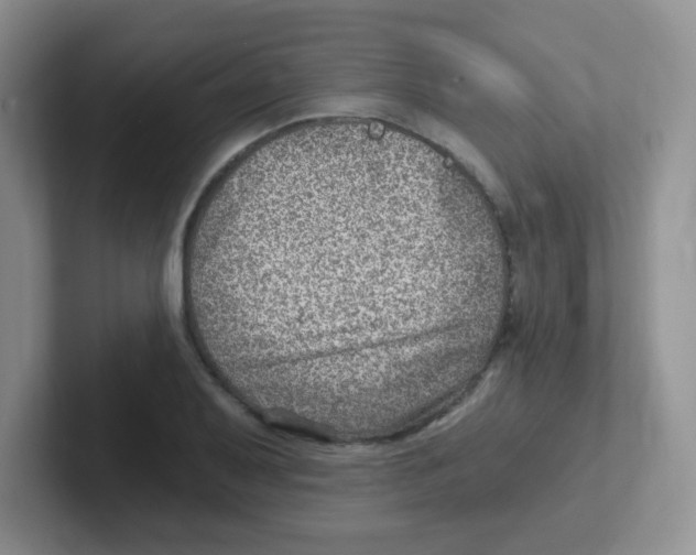 X0000101651079200808071110