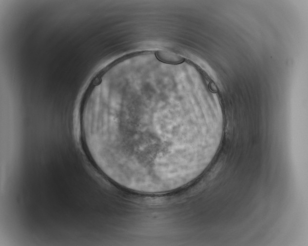 X0000101651080200808071110