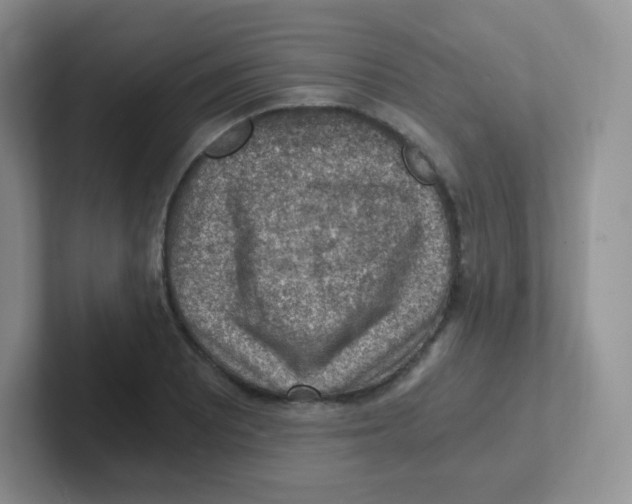 X0000101651081200808071110