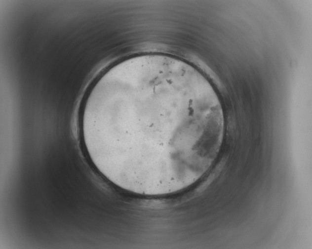 X0000101651082200808071110