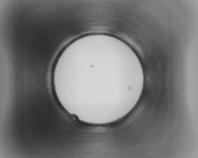 X0000101651085200808071109