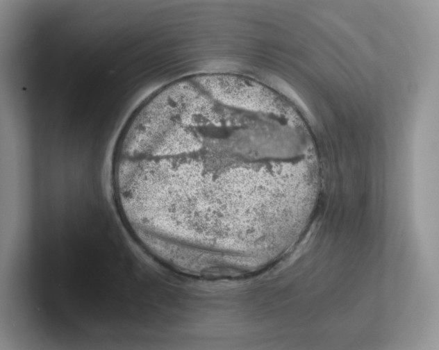 X0000101651087200808071109